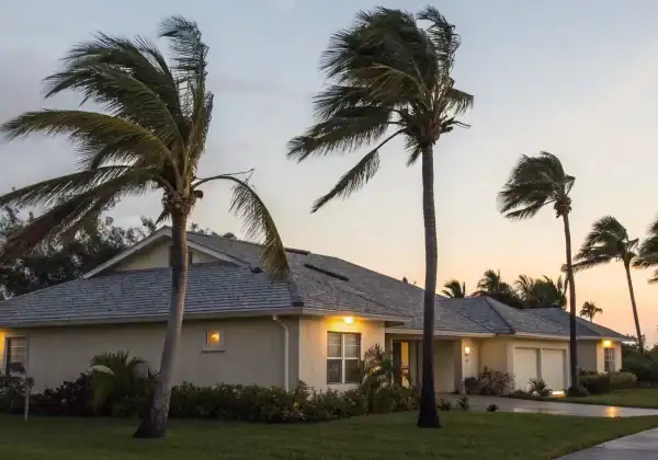 Strong winds blowing palm trees near a house, a guide on how to claim for wind damage on insurance.